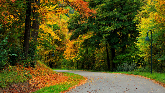 Workation-Genuss statt November-Blues: Workation-Spots im November, die wirklich funktionieren