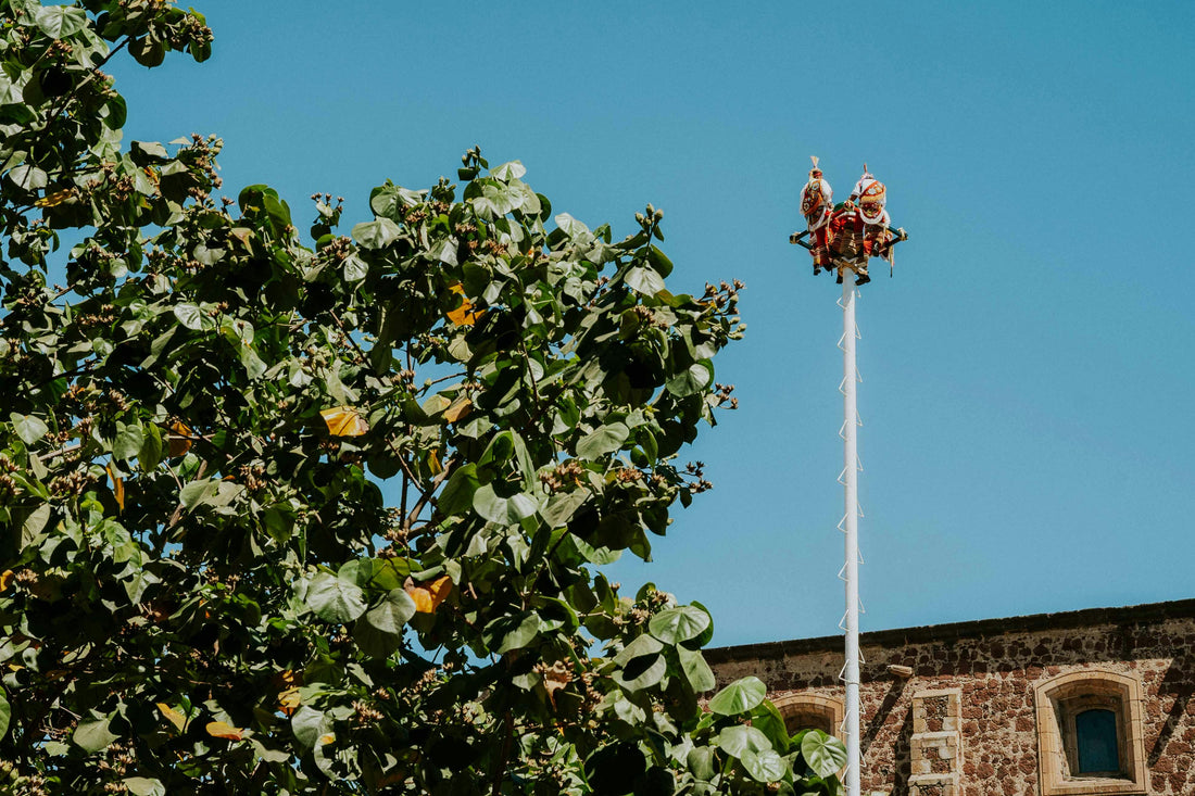Workation im Mai: Frühsommer, Freiheit und Fokus