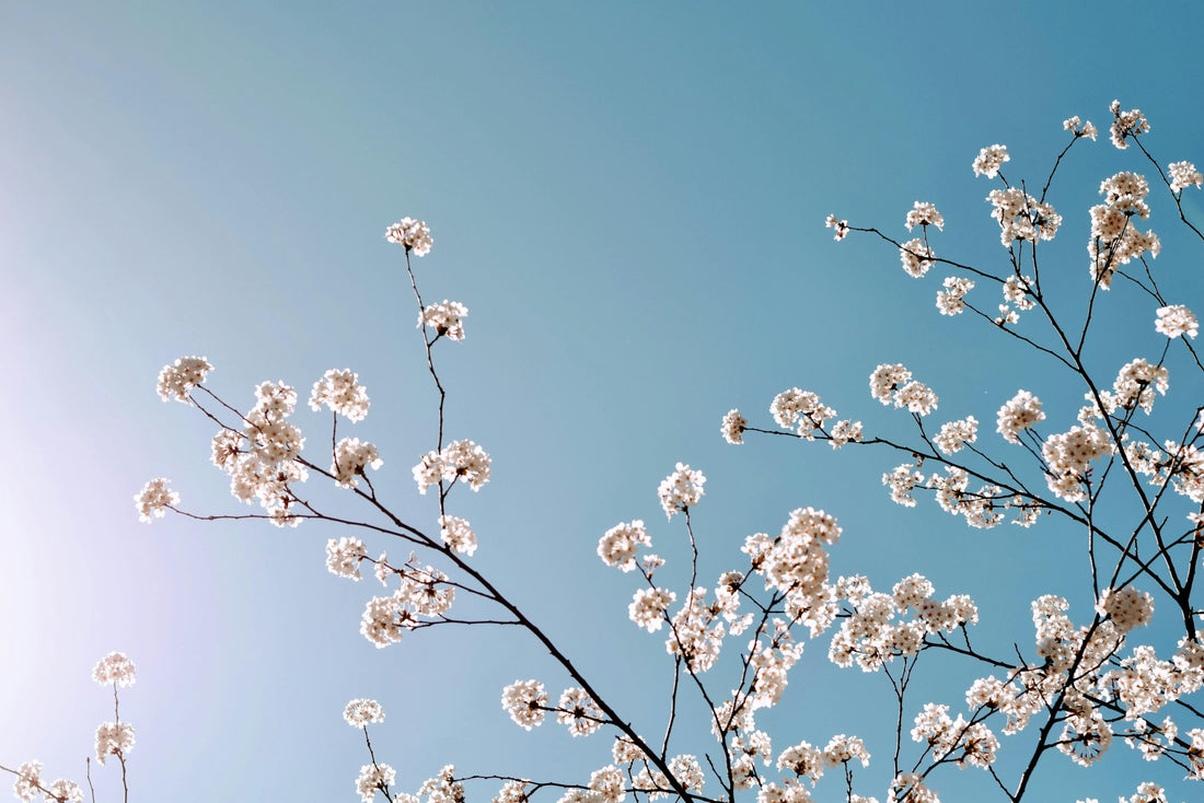Workation im April: Sonne, Aufbruch und neue Perspektiven