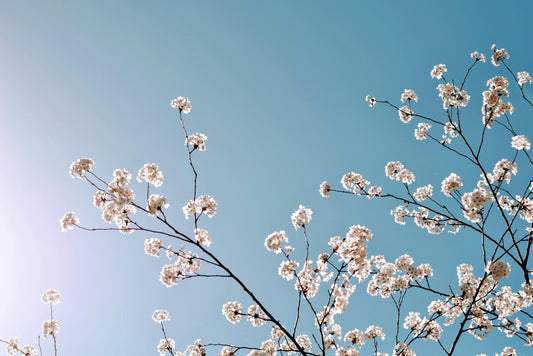 Workation im April: Sonne, Aufbruch und neue Perspektiven